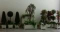 Plantasia Displays Ltd image 4