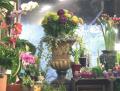 The Flower Shop image 5