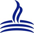 Blue Flame IT Ltd logo