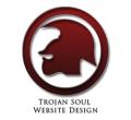 Trojan Soul Website Design & SEO Specialists logo
