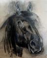 Equestrian Portrait image 2