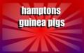 Hamptons Guinea Pigs image 1