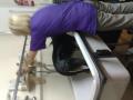 pawfection dog grooming image 4
