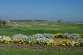 Felixstowe Ferry Golf Club logo