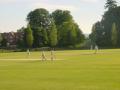Falkland Cricket Club image 3