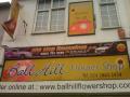 Ball Hill Flower Shop logo