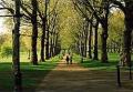Royal Parks image 5