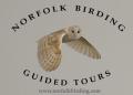 Norfolk Birding logo