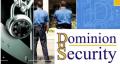 Dominion Security image 3