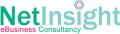 NetInsight eBusiness Consultancy logo