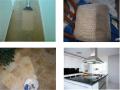 Carpet Cleaning Sussex image 1