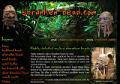 Jurassic Web Design image 2