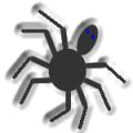 Spiders Web Design logo