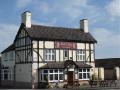Red Lion image 8