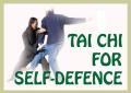 Southampton School of Tai Chi logo