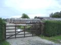 Landorn Boarding Kennels & Cattery image 1