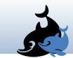 Dolphin Removals Ltd. logo