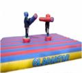 KBM Leisure.... Bouncy Castle Hire image 7