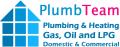Plumb Team logo