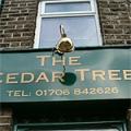 The Cedar Tree image 8