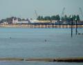 Suffolk Open Water Swimming image 3