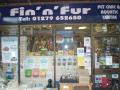 Fin 'n' Fur image 1