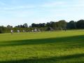 Llandaff Fields image 1