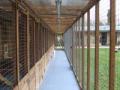 Broome manor cattery image 7