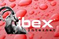 Website design and SEO Kendal Cumbria Ibex Internet Ltd image 8
