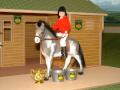 Steeple Chase Farm Toys image 2