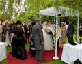 Chuppah Hire image 2