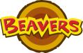 21st Romford Scout Group - inc. Beavers Cubs and Scouts logo