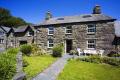 Gwynfryn Farm Bed & Breakfast image 2