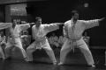Chang's Hapkido Academy image 3