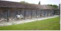 Crossways Kennels image 3