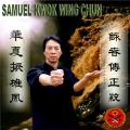 Hamilton Wing Chun Kung Fu School (Samuel Kwok Association),Hamilton, Scotland image 2