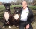 Craig Steiff  Dog Trainer and Behaviourist image 1