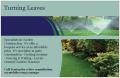 TURNING LEAVES - Affordable Landscaping image 2