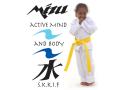 Mizu Shotokan Karate-Do Karate and Self-defence image 1
