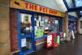 The Pet Shop image 1