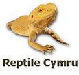 Reptile Cymru image 6