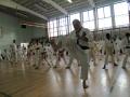 Enfield School of Japanese Karate logo