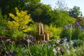 Sally Watts Garden Design image 6