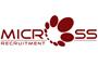 Micross Recruitment logo
