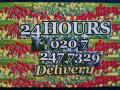 East London Flowers Open 24 hours image 1