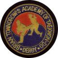 Academy of TAGB Taekwon-Do Derby logo