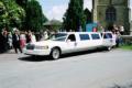 Elite Limousine Hire image 3