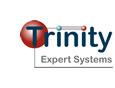 Trinity Expert Systems Limited logo