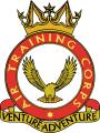 Air Cadets logo