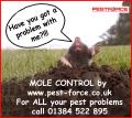 Mole Catcher West Midlands image 1